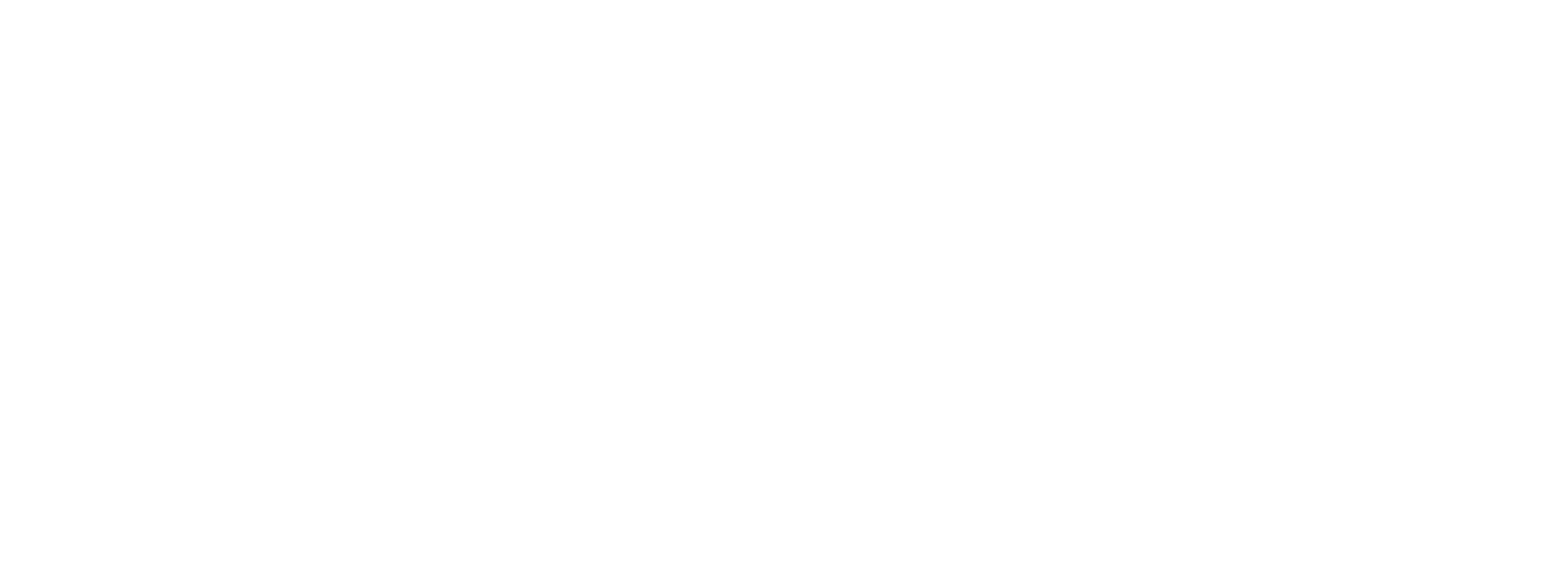 Bold Management Group